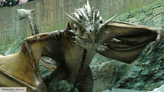 The Hungarian Horntail is the most deadly of the Harry Potter dragons
