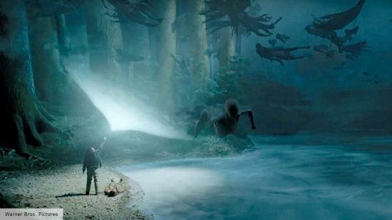 The Patronus Charm protects Harry Potter characters from Dementors