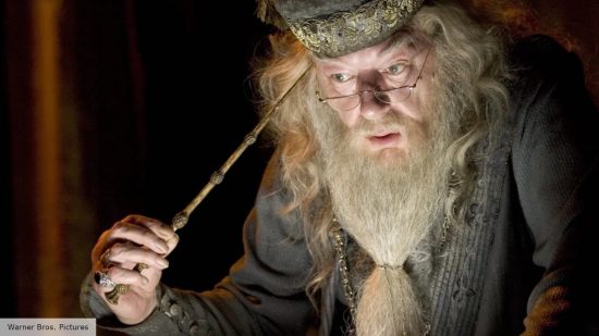 Dumbledore was master of the Elder Wand throughout the Harry Potter movies
