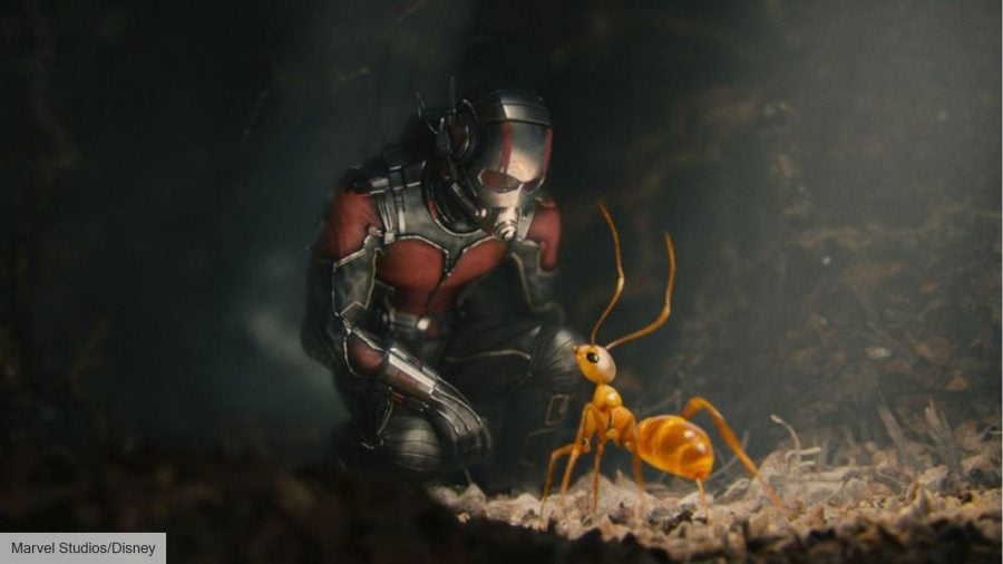 Marvel movies in order: Paul Rudd as Scott Lang in Ant-Man 
