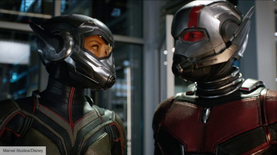 Marvel movies in order: Evangeline Lily and Paul Rudd stare at each other in Ant-Man and the Wasp