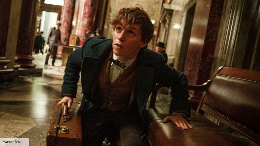 Harry Potter movies in order: Eddie Redmayne as Newt Scamander in Fantastic Beasts and Where to Find Them