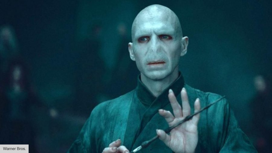 Harry Potter Voldemort facts: Voldemort holds the Elder Wand