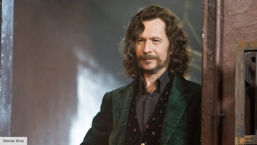 Harry Potter characters: Gary Oldman as Sirius in Harry Potter