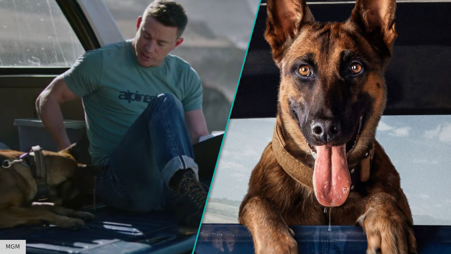 How to watch Dog – can I stream Channing Tatum’s new movie? | The Digital Fix