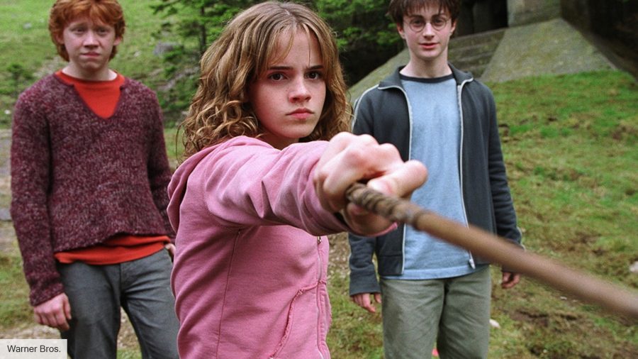 Hermione pointing her wand at Draco after being called a Mud Blood