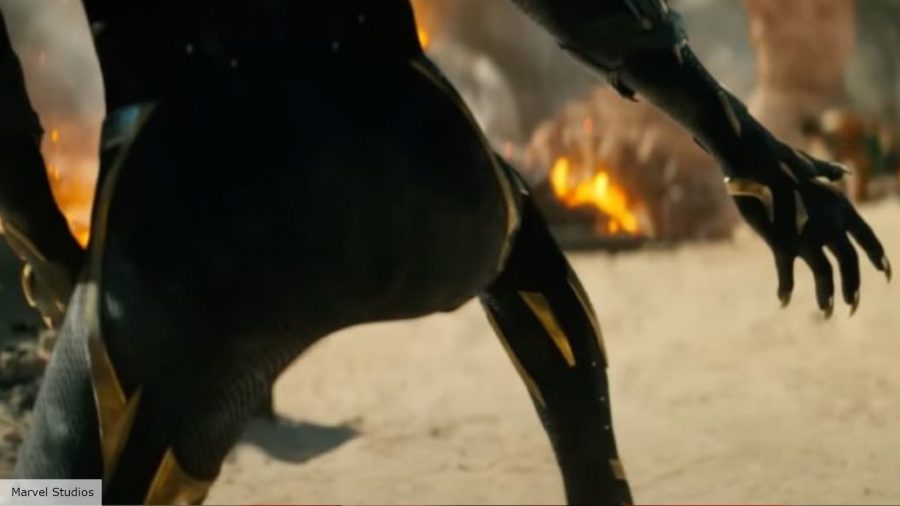 Black Panther 2 release date: Unknown new Black Panther in Black Panther 2 trailer